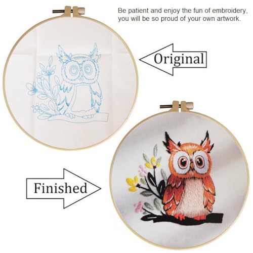 Embroidery Kit for Adults Beginners Starter Stitch Kit with Brown Owl Pattern Handmade Needlepoint Kits