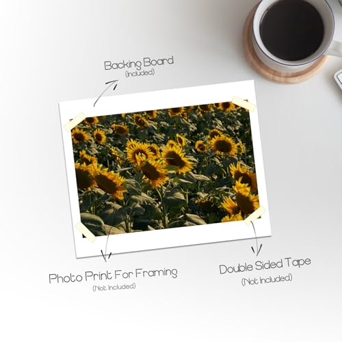 Golden State Art 6x8 White Backing Board, 10 Pack Backer Boards for Prints - size: 6x8