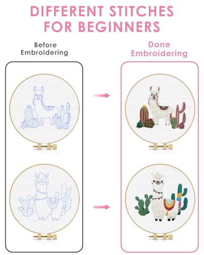TINDTOP Embroidery Kit for Adult Beginners, Embroidery DIY Starter Kit - color: Alpaca