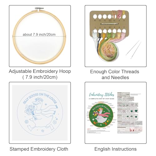 Louise Maelys Silly Goose Embroidery Kit for Beginners, Floral DIY Craft - color: Silly Goose
