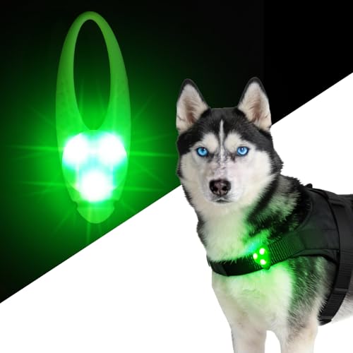 LaRoo Dog Lights - Led Collar Lights for Nighttime Walking - color: Green-A