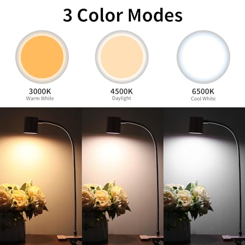 Dott Arts Desk Lamp,USB Clip On Light with 3 Color Modes,LED Reading Lamp - color: Pink