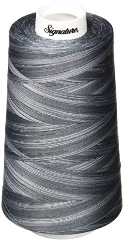 Signature 3 Ply Cotton Quilting Thread, 40wt/3000 yd, Variegated Smokey Blues 49S-M81