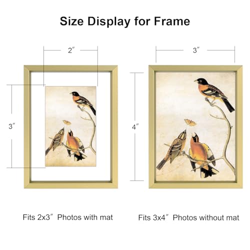 BKABOT 3x4 Brass Aluminum Photo frames 3 Pack HD Glass Mat 2x3 Wall Table - color: Brass, size: 3x4