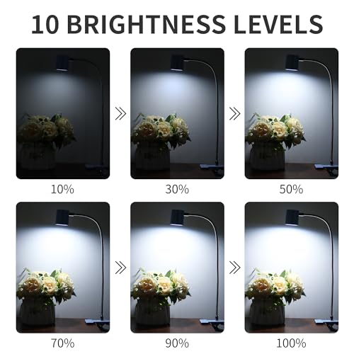 Dott Arts Desk Lamp,USB Clip On Light with 3 Color Modes,LED Reading Lamp - color: Blue