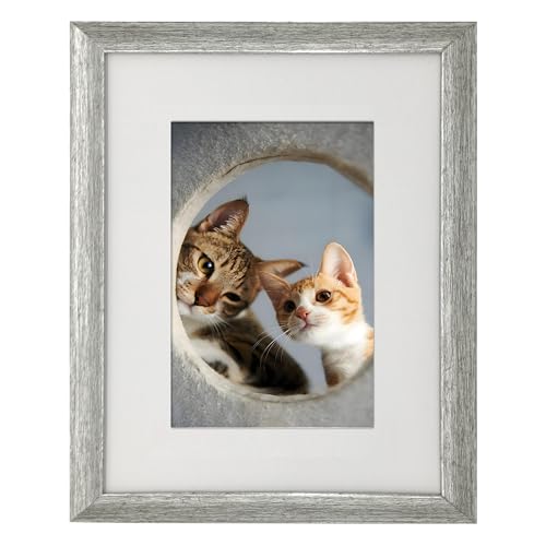 8x10 Photo Frame Gallery Picture frame with 5x7 mat,Freestanding and Wall Mountable,Silver - color: Silver, size: 8x10