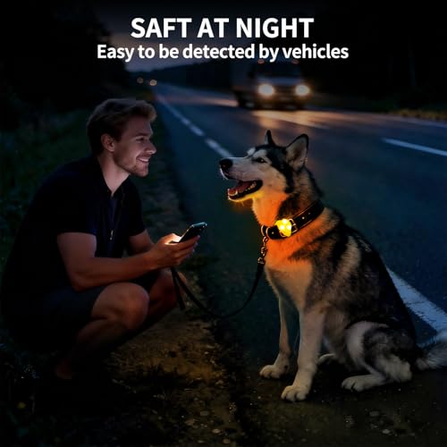 LaRoo Dog Lights for Night Walking, LED Dogs Collar Lights for Nighttime Clip On Light up Dog Collar Pet Camping Essentials （Orange） - color: Orange-A