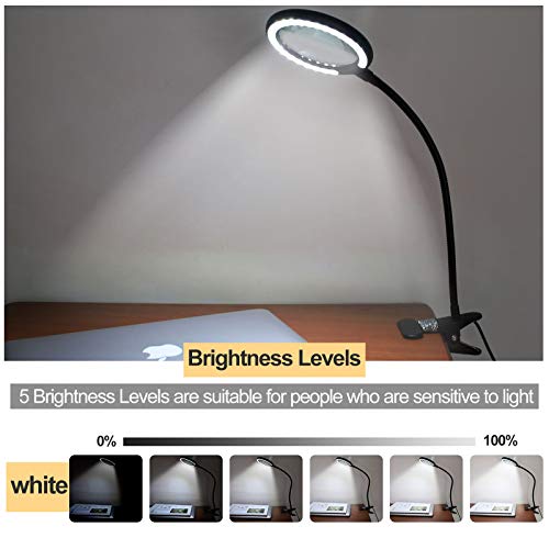 LED Magnifying Lamp with Clamp, Raweao 3X Lighted Magnifying Glass with Light for Reading, Seniors, Hobbies, Craft
