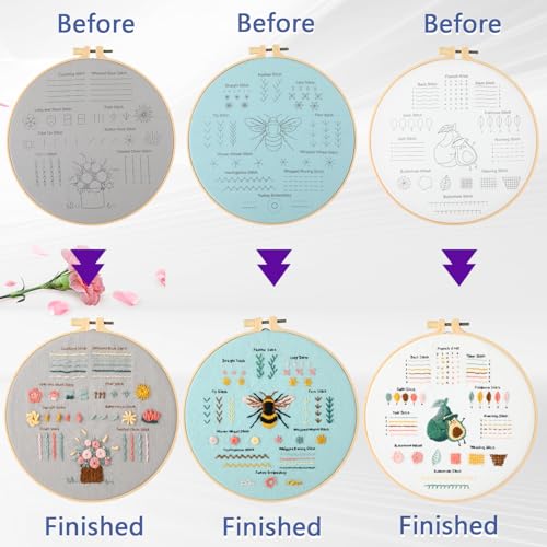 JOINRUN Beginner Embroidery Kit for Adults, 3 Pack with Video Tutorial - color: Bee