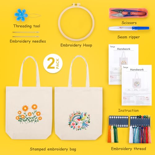 BERYA 2 Pack Canvas Tote Bag DIY Needlepoint Embroidery Kit for Beginners - color: Chrysanthemum morifolium& Fly song