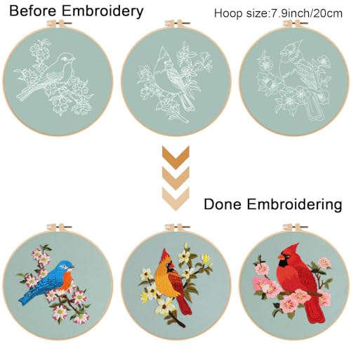 Louise Maelys 3 Set Colorful Bird Embroidery Kit for Beginners Gift - color: Animals-6