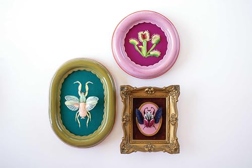 Stumpwork Studio―Mastering 3-D Embroidery: 15 Realistic Nature-Inspired Projects to Stitch