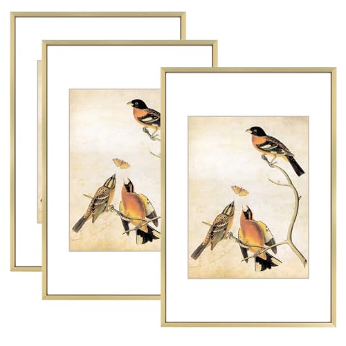 BKABOT 8x12 Brass Aluminum Photo frames 3 Pack HD Glass Mat 6x8 Wall Only - color: Brass, size: 8x12