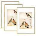 BKABOT 8x12 Brass Aluminum Photo frames 3 Pack HD Glass Mat 6x8 Wall Only - color: Brass, size: 8x12