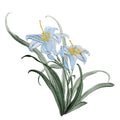 Iron/Sew on Applique Repair Patches, Flower Patches, Blue Orchid Patch - color: Blue Orchid