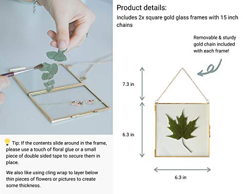 Glass Frame for Pressed Flowers, Leaf and Artwork - Hanging Gold 6x6 Square Metal Picture Frames, Clear Double Glass Floating Frame, Wall Decor Photo Display, Set of 2 Flower Press Frames with Chain - color: Gold, size: 6x6