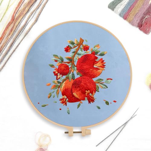 CREAWONDER Canvas Tote Bag Embroidery Kit with Pattern for Beginners, Arts and DIY Embroidery Crafts Kits for Adults, Include Instructions, Embroidery Hoops, Color Threads and Tool - color: CR002 shiliuranran lightblue