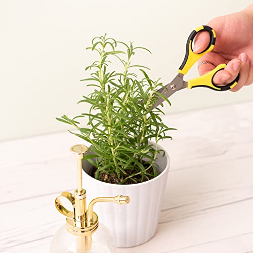 EK Tools Cutter Bee Precision Craft Scissors - Small Ergonomic Scissors with Micro Tip for Cutting Paper, Herbs, and More - Stainless Steel Blades, Yellow and Black - style: 1 Pack