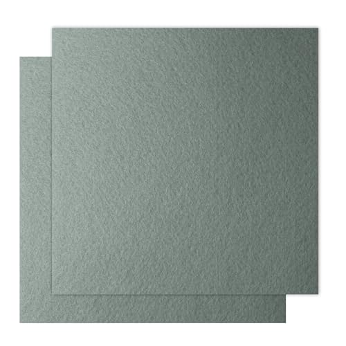 12" x 12" Felt Fabric Sheets for Crafts, Squares Felt Fabric Sheets, 1mm Thick, Non-Woven Felt Paper for DIY Sewing Craft, 2pcs (Cool Grey) - color: Cool Grey