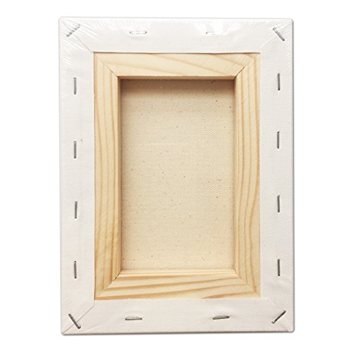 LWR CRAFTS Stretched Canvas 6" X 8" Pack of 6 - size: 6"x8"x6 (standard)