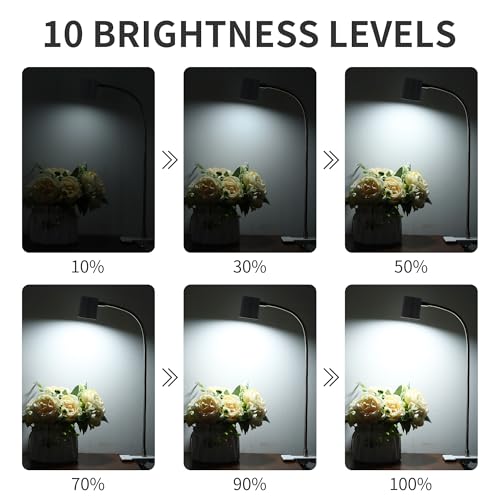 Dott Arts Desk Lamp,USB Clip On Light with 3 Color Modes,LED Reading Lamp - color: White