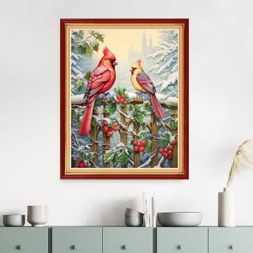 Dimensean Stamped Cross Stitch Kits Full Range of Embroidery Patterns Starter Kits for Beginners Adult DIY Cross Stitches Needlepoint Kits 11CT-Snowy Birds 16x20 inch - color: Craftpattern66