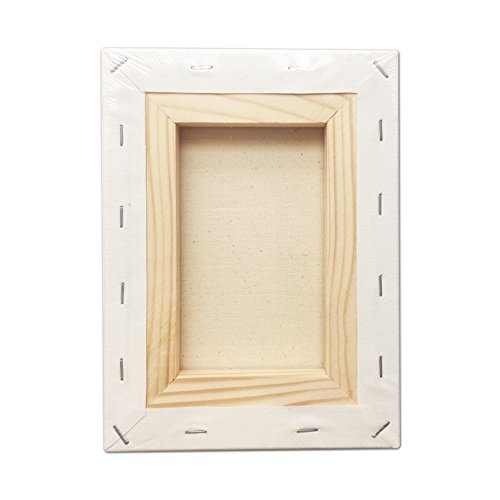 LWR CRAFTS Stretched Canvas 5" X 7" Pack of 6 - size: 5"x7"x6 (standard)