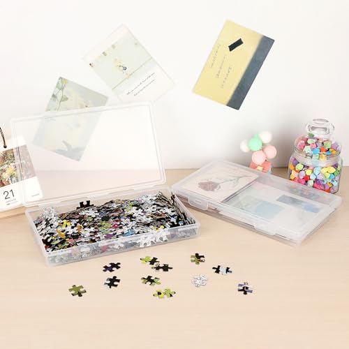 BTSKY Clear Plastic Storage Box with Flap Lid, 4 Pack - 9.8"x5.9"x1.2" - size: Medium Small-4 Pack