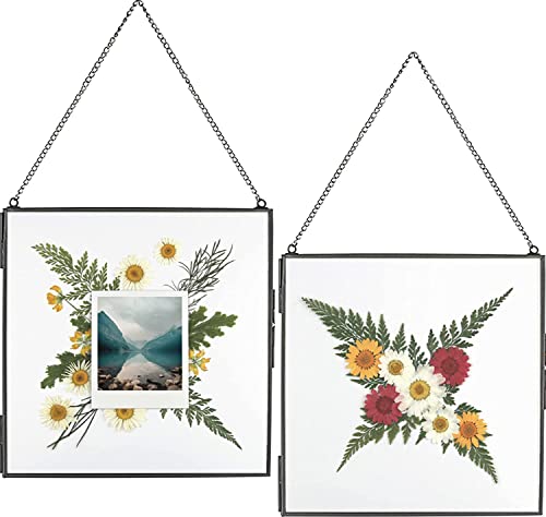 Glass Frame for Pressed Flowers, Leaf and Artwork - 8x8 Black Hanging Square Metal Picture Frames, Clear Double Glass Floating Frame, Wall Decor Photo Display, Set of 2 Flower Press Frames with Chain - color: Gunmetal black, size: 8x8