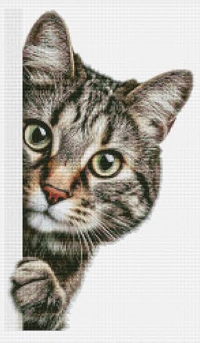 Moohue Stamped Cross Stitch Kits for Adults Animal Cat 14CT Pre Printed Cross Stitch Kits for Beginners (Animal Cat) - color: Animal Cat