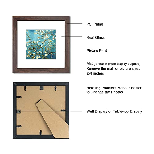 8x8 Walnut Picture Frame Set of 6 with Real Glass for Pictures 5x5 with Mat or 8x8 Without Mat, Wall or Tabletop Gallery Photo Frames - color: Walnut, size: 8x8(set of 6)