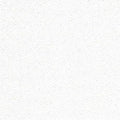 Zweigart 16 Count Aida Fabric – Shiny White (11), 19.7" x 59", Premium Cotton Cloth for Cross Stitching, Embroidery & Needlecrafts - color: Shiny White (11), size: 39.4" x 39.4"