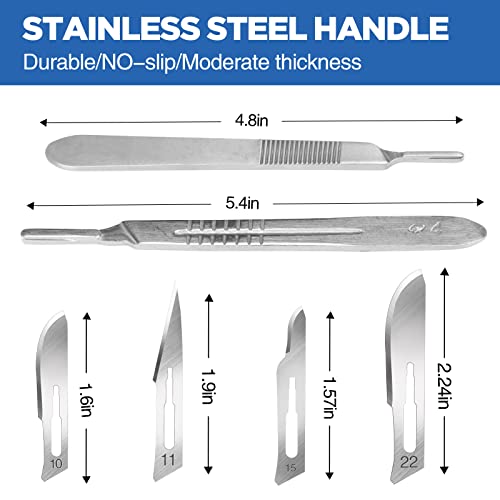 44 PCS 40 Scalpel Blades with #10#11#15#22 Scalpels Surgical Sterile Blades - color: 44 PCS Handle And Blades#10#11#15#22