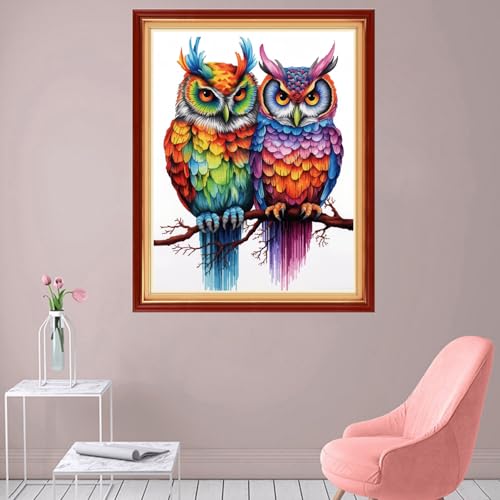 Foxhool Stamped Cross Stitch Kits,11CT Printed Cross Stitch Pattern Full Embroidery Kits for Beginner Needlepoint Kits-Two Colorful Owls 16x20 inch - color: Craftpatterns11