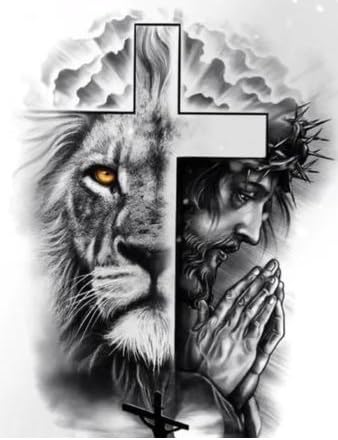 DYAIANGMU Christ Stamped Cross Stitch Kit for Adults 15.7x11.8 inches - color: red-12-new