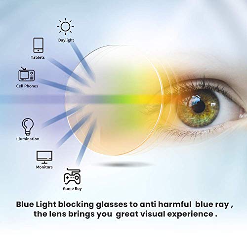 Reading Glasses Clip On and Flip Up Blue Light Blocking Magnifying Glasses Magnifiers Lenses Readers for Unisex (Transparent, 1.0)