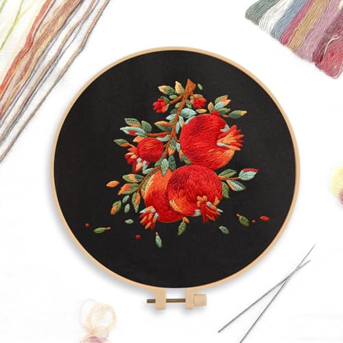 CREAWONDER Canvas Tote Bag Embroidery Kit with Pattern for Beginners, Arts and DIY Embroidery Crafts Kits for Adults, Include Instructions, Embroidery Hoops, Color Threads and Tool - color: CR002 shiliuranran black