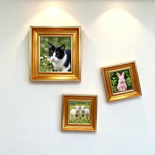 4x4 Gold Picture Frame, Real Glass, MDF, Black Backing, Wall/Tabletop - color: Gold, size: 4x4