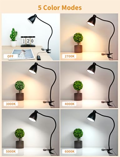 BOHON Desk Lamp 5 Color Modes 10 Brightness Dimmer Reading Light Black - color: Black
