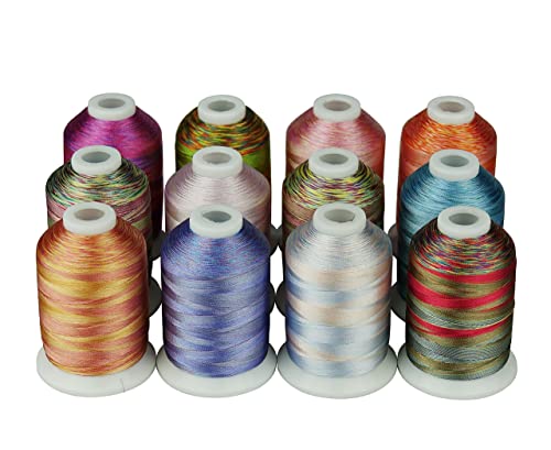 Simthreads 12 Multi Color Variegated Color Embroidery Machine Thread 1000 Meters Each for Janome Brother Pfaff Babylock Singer Bernina Husqvaran and Most Home Sewing Embroidery Machines - color: 12va-2