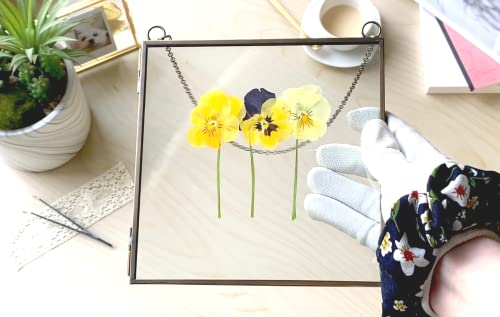 Beedecor Glass Frame for Pressed Flowers, Leaf and Artwork - Hanging Square Metal Picture Frames, Clear Double Glass Floating Frame, Wall Decor Photo Display, Set of 2 Flower Press Frames with Chain - color: Antique bronze, size: 6x6