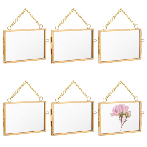 OLYCRAFT 6pcs Wall Hanging Mini Photo Frames 3x2 Inch Double Glass Picture Frame Gold Folding Frame DIY Vintage Artwork Display Frames for Wall Hanging Pressed Flowers Pictures Home Decor - size: 3x2 Inch