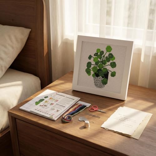 Potted Plant Stamped Cross Stitch Kits for Beginners Adults with Framed - color: DKJ003