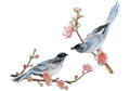 Iron/Sew on Applique Repair Patches, Blue Bird on Plum Branch Patch - color: Blue Bird on Plum Branch