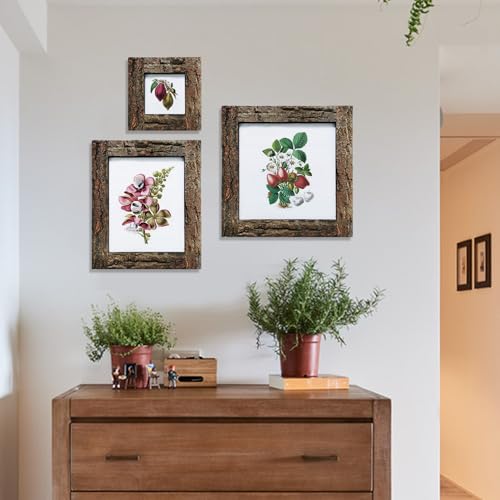 IKEREE 8x8 Rustic Picture Frames with Real Bark, Natural Wood Photo Frame - size: 8x8