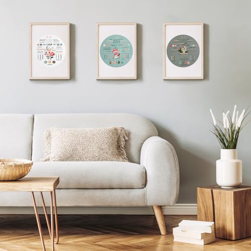 3 Sets Embroidery Kit for Beginners to Learn 36 Basic Embroidery Stitches Practice Kit,Hand Embroidery Cross Stitch Kits for Beginners with Embroidery Patterns, Hoop,Threads,Tools