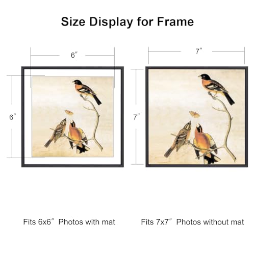 BKABOT 7x7 Black Square Picture Frame HD Glass 1Pack 6x6 Mat Wall Table - color: Black, size: 7x7-1P