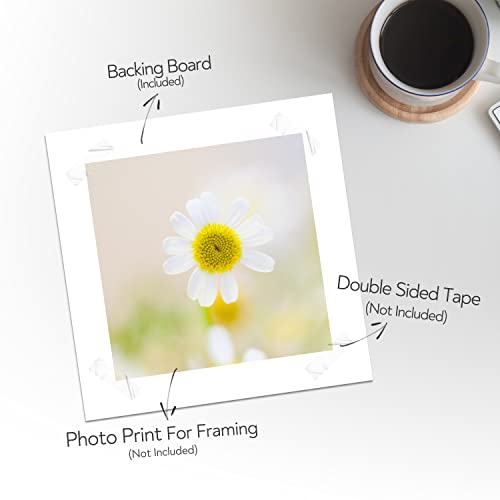 Golden State Art 8x8 White Backing Board, 10 Pack Backer Boards for Prints - size: 8x8