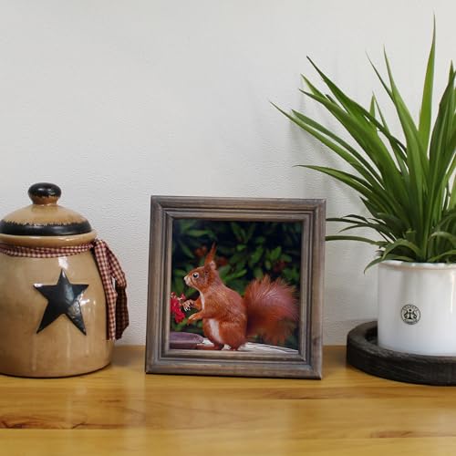 CVHOMEDECO. 6x6 Picture Frame Made of Solid Wood High Definition Glass Rustic Antique Designs Small Photo Frame for Tabletop Display and Wall Mounting, Distress Brown - color: Distress Brown B, size: 6" X 6"