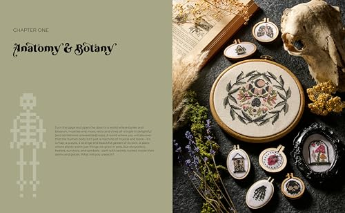Cross Stitch Cabinet of Curiosities: 500 magical motifs and peculiar patterns